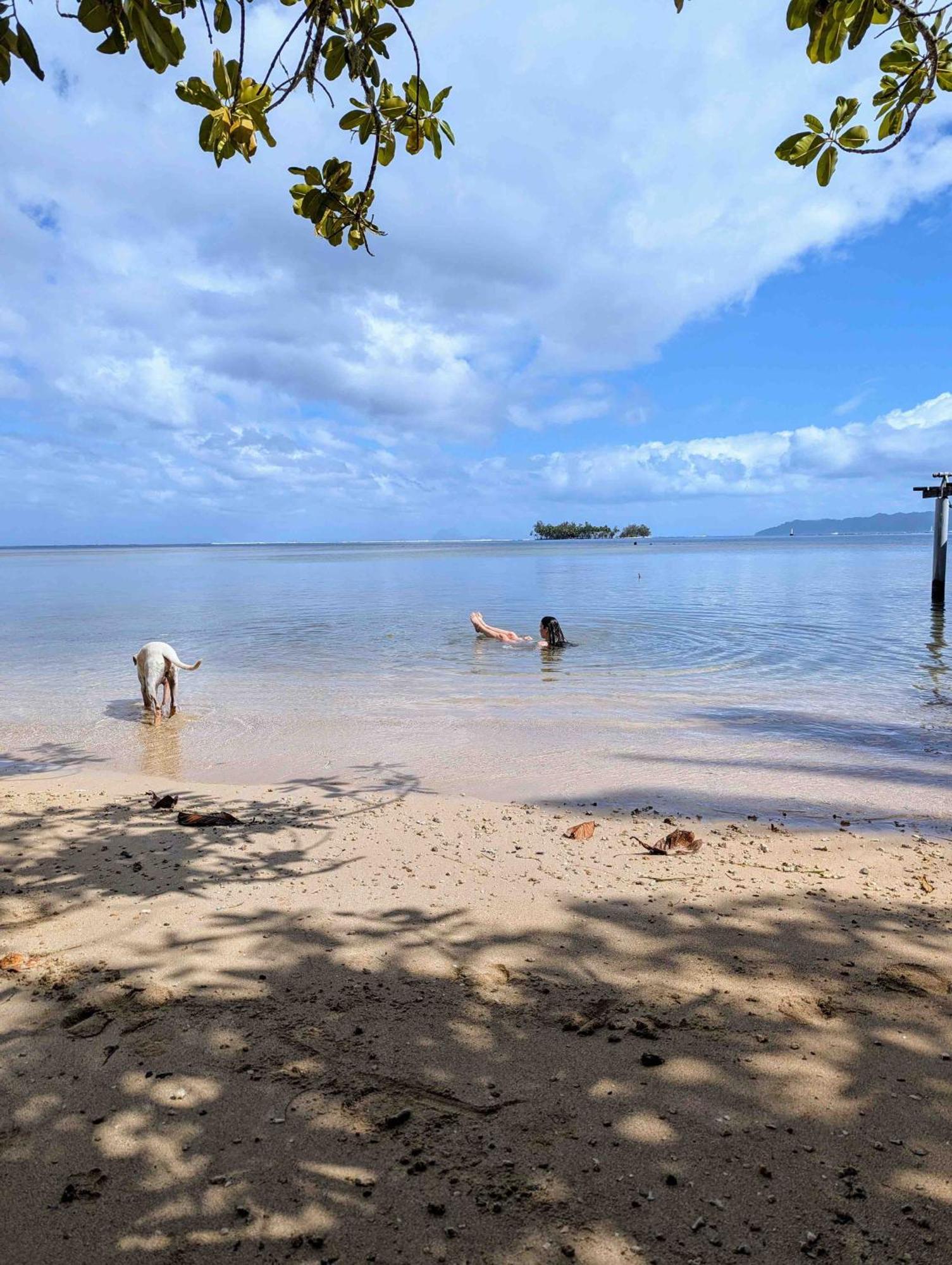 Raiatea - The Beach House - Plage Sur Le Lagon ! Tevaitoa Extérieur photo
